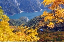【名古屋駅発】*1泊2食付*『紅葉の立山黒部アルペンルート通り抜け FALL~TATEYAMA ALPINE ROUTE 』3